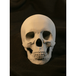 Lebka 3D dekorace