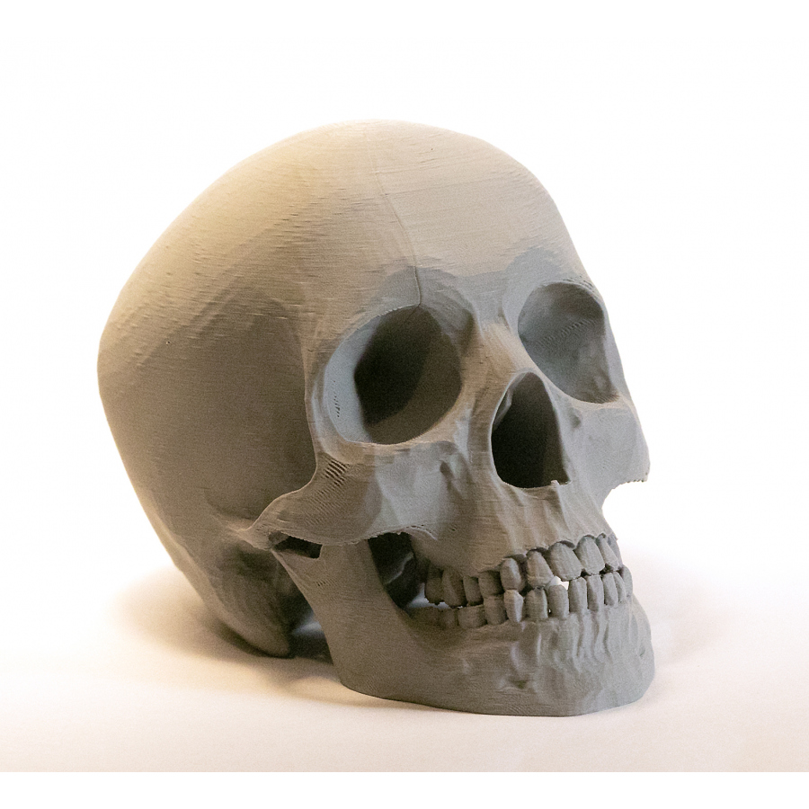 Lebka 3D dekorace