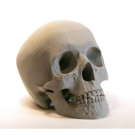 Lebka 3D dekorace